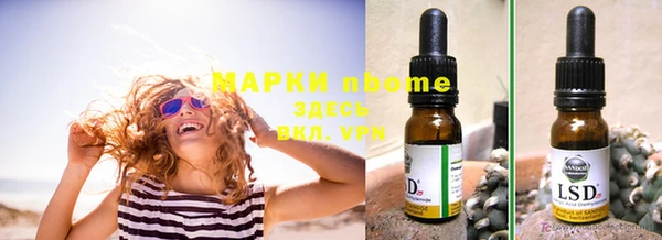 дмт Богданович