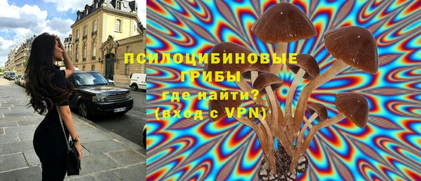 кристаллы Богородск