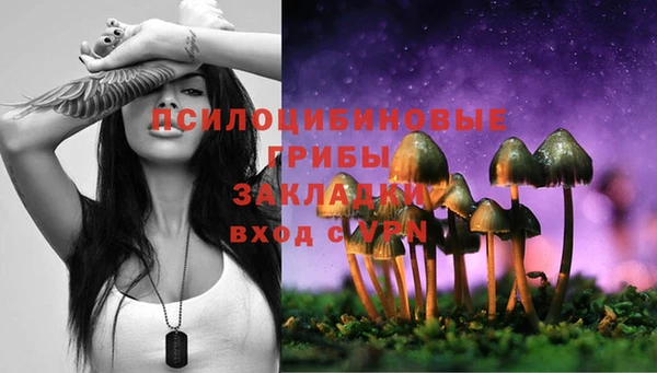 не бодяженный Белокуриха
