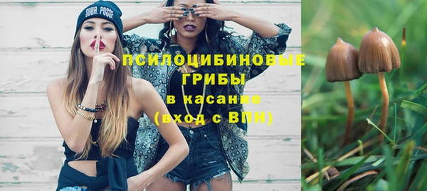 не бодяженный Белокуриха