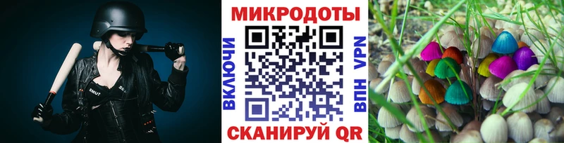 Купить закладки  Нерчинск  Галлюциногенные грибы GOLDEN TEACHER 